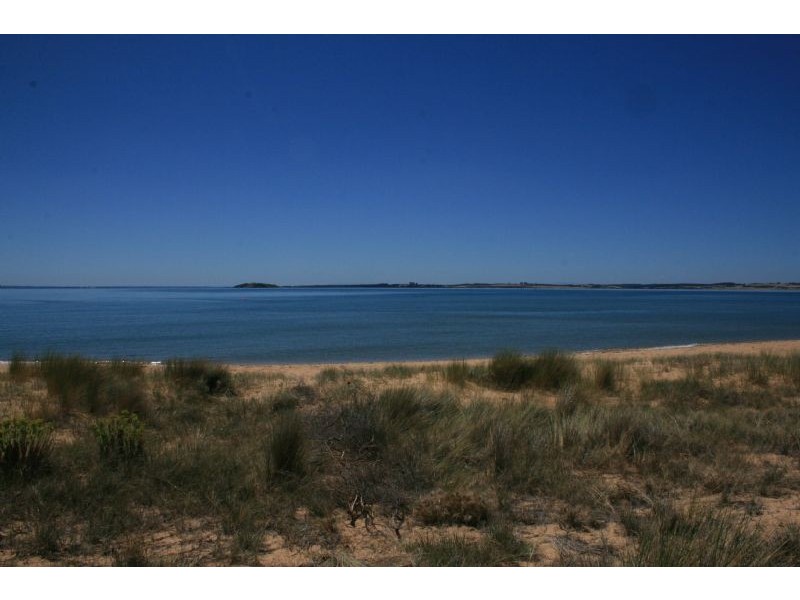 133 Silverleaves Avenue, Silverleaves VIC 3922