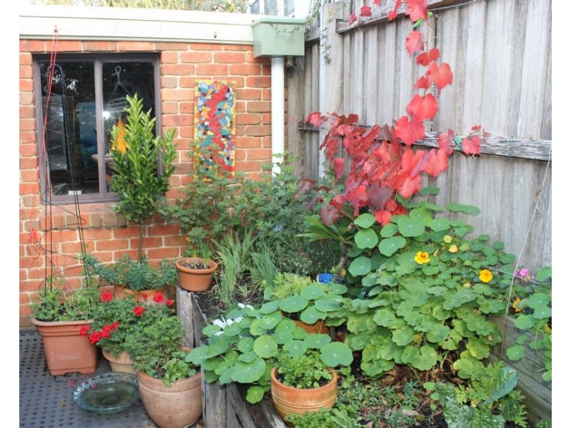 1/35 Chapel Street, Cowes VIC 3922