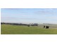 Lot 2 Ventnor Road, Ventnor VIC 3922