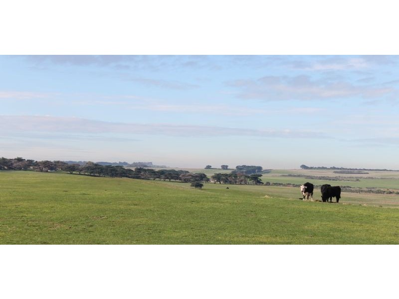 Lot 2 Ventnor Road, Ventnor VIC 3922
