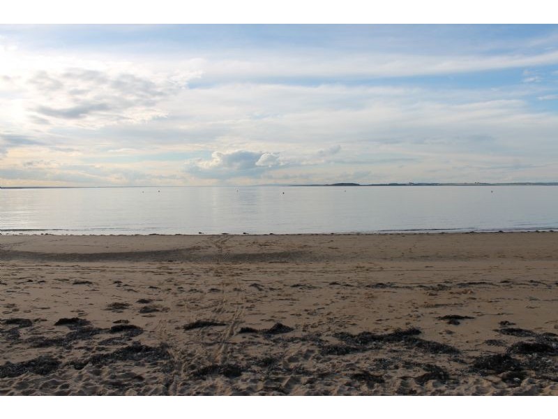 343 Coghlan Road, Silverleaves VIC 3922