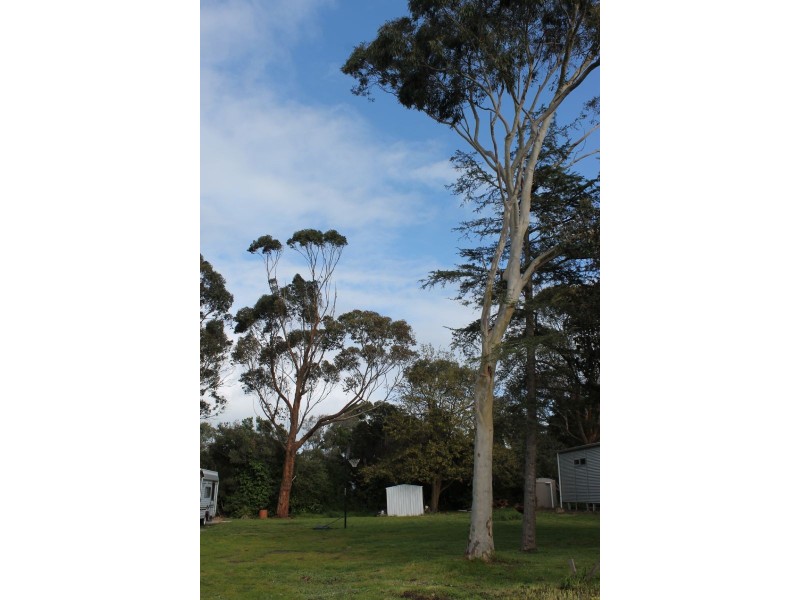 8 Rogan Close, Cowes VIC 3922