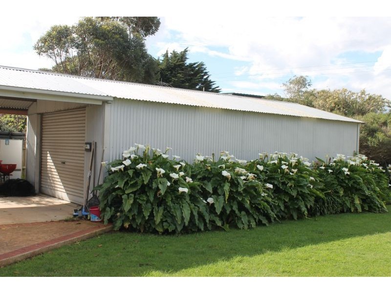 12 Elwood Avenue, Surf Beach VIC 3922