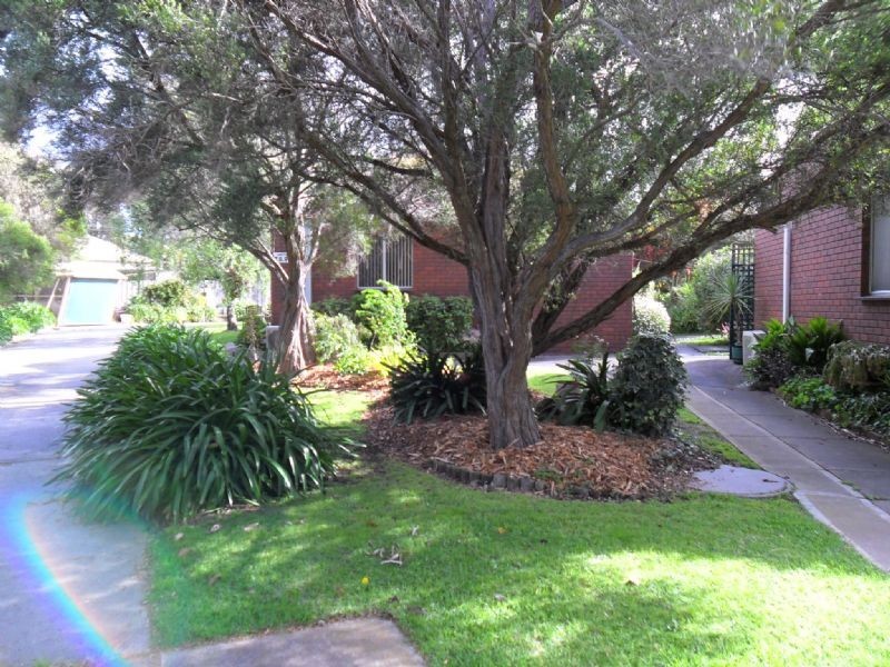 10/3 Lions Court, Cowes VIC 3922