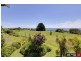 10 Pall Mall, Ventnor VIC 3922