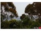 16 Mountainview Avenue, Ventnor VIC 3922