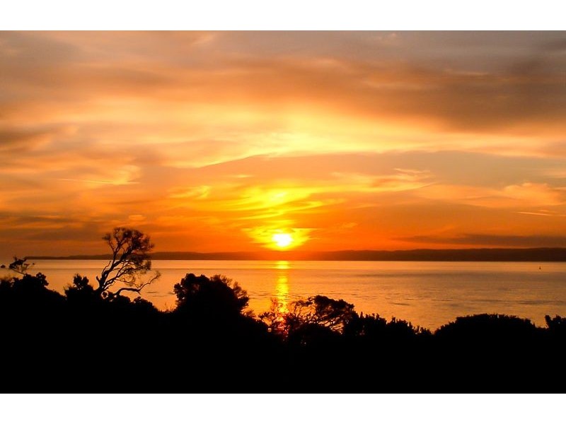 29 The Esplanade, Ventnor VIC 3922