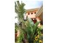 12 Toscana Rise, Cowes VIC 3922