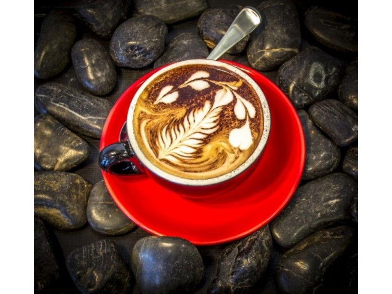 55 Thompson Avenue, Cowes VIC 3922