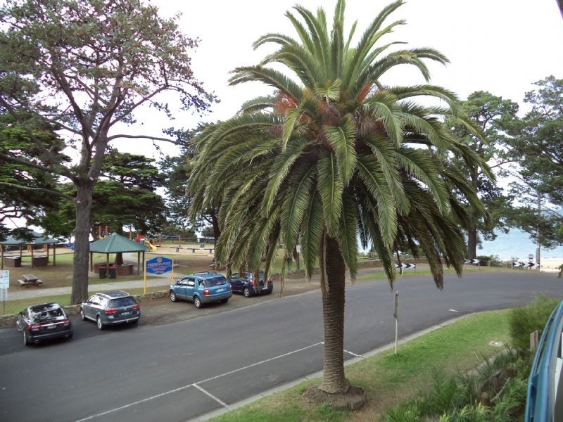 205/1 The Esplanade, Cowes VIC 3922