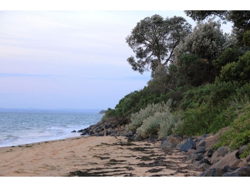 11 Woodland Avenue, Silverleaves VIC 3922