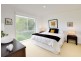 8 Silvergull Court, Silverleaves VIC 3922