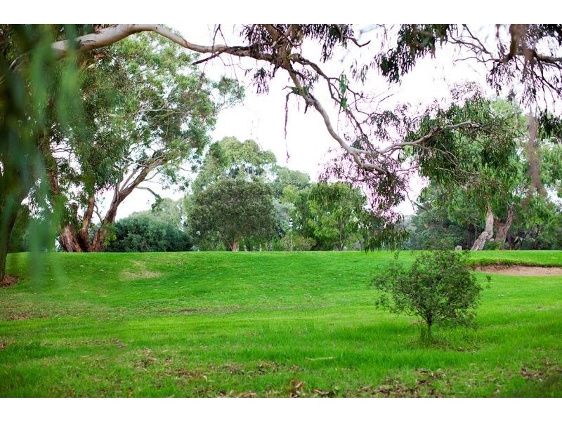 335 Coghlan Road, Silverleaves VIC 3922