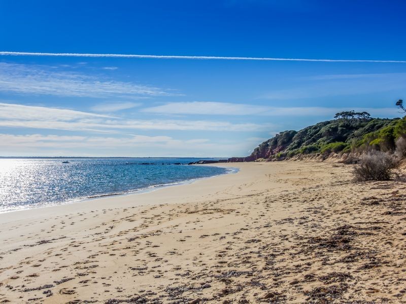 43 Castle Combe Circuit, Cowes VIC 3922