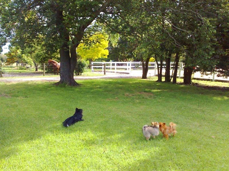 260 Agar Road, Bass VIC 3991