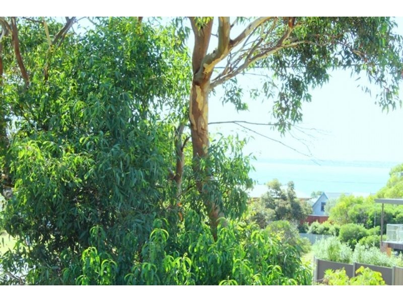 48 Grossard Point Road, Ventnor VIC 3922