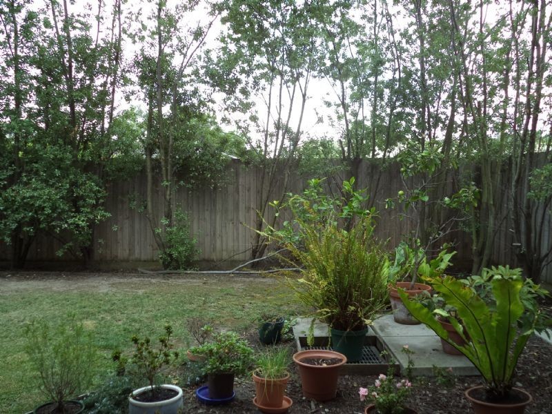 2/177 Thompson Avenue, Cowes VIC 3922