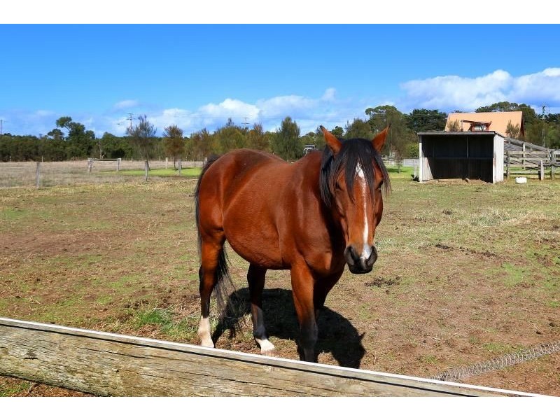 81-93 Anchorage Road, Ventnor VIC 3922