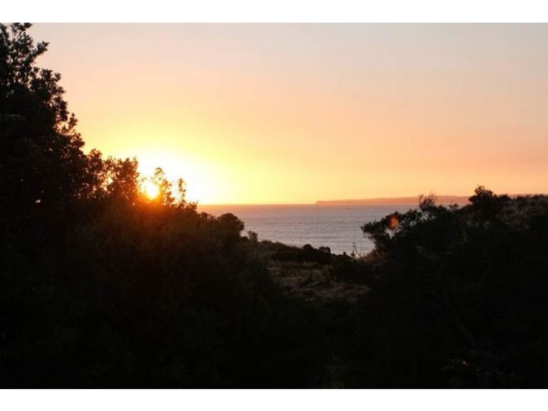 12 Devon Avenue, Ventnor VIC 3922