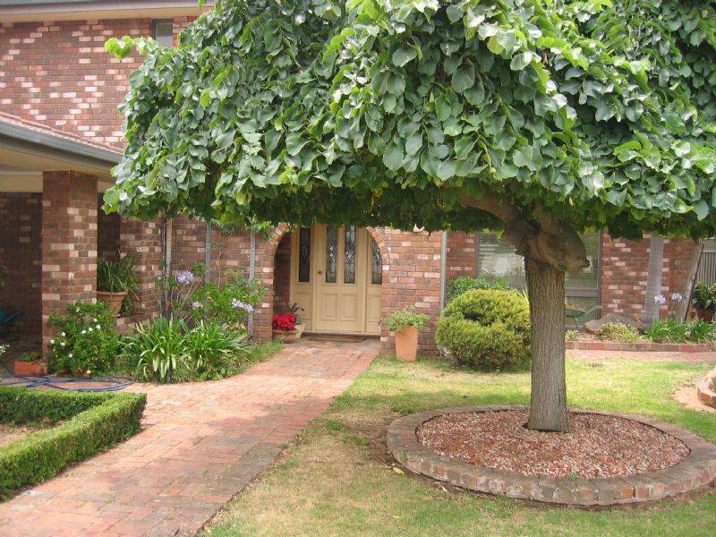 24 Lang Street, Mulwala NSW 2647