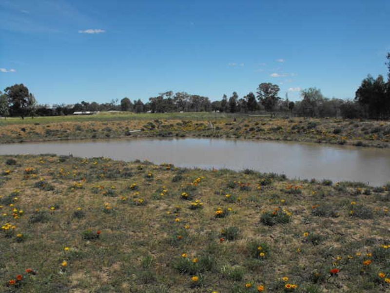 8 Swanson Street, Wilby VIC 3728