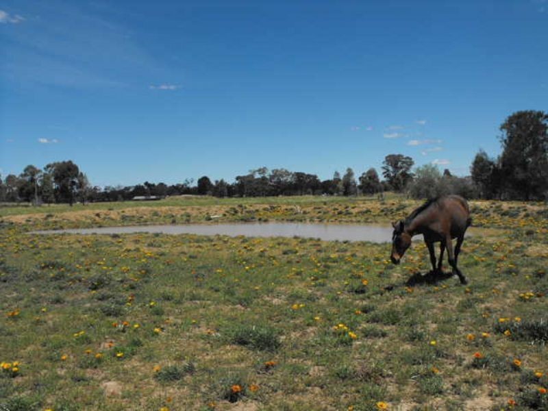 8 Swanson Street, Wilby VIC 3728