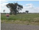 8  Hillview Drive, Yarrawonga VIC 3730