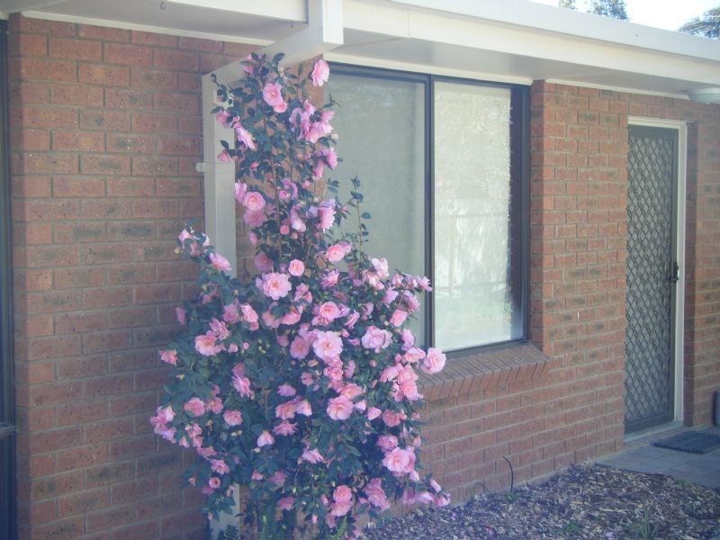 1/5 Pinnegar St, Yarrawonga VIC 3730