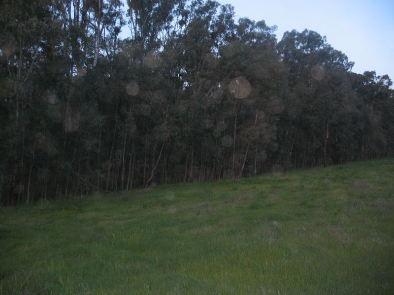 0 MURRAY VALLEY HWY, Yarrawonga VIC 3730