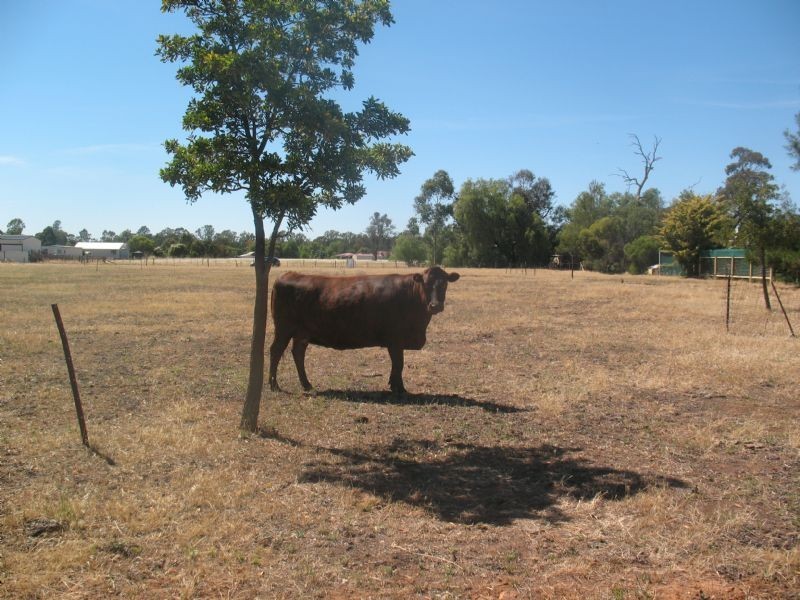 Lot 3 Woods Street, Bundalong VIC 3730