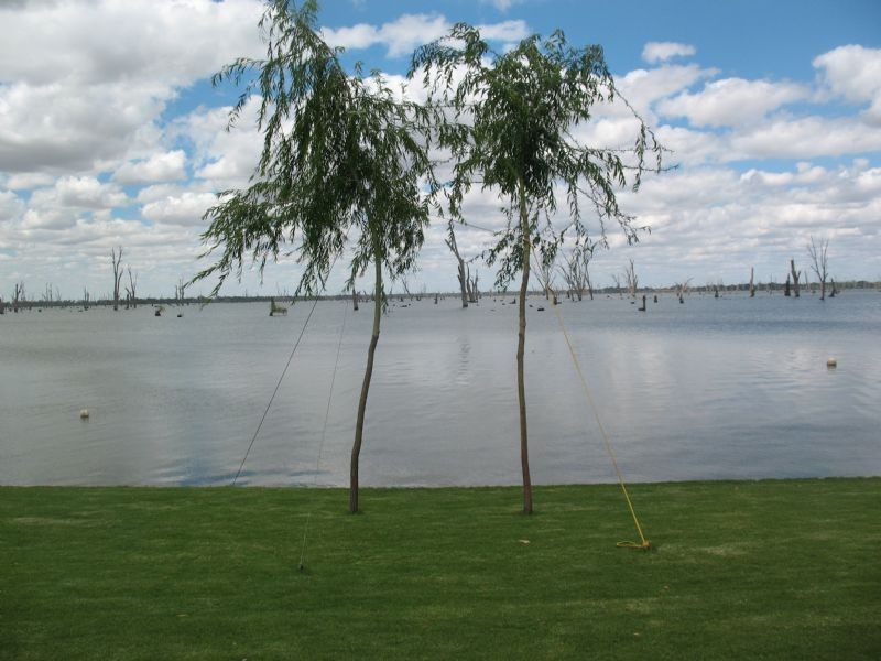 60 Rosemary Court, Yarrawonga VIC 3730