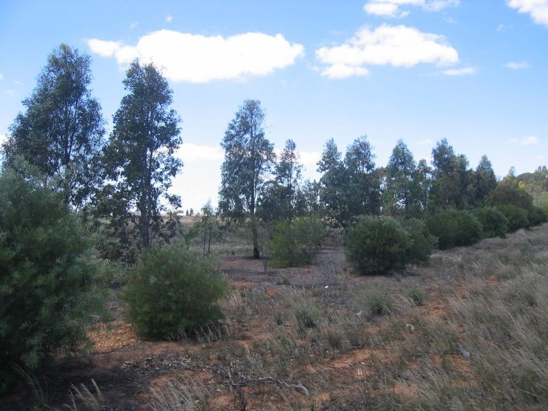 V/L – Land Subdivision Development Benalla Rd, Yarrawonga VIC 3730
