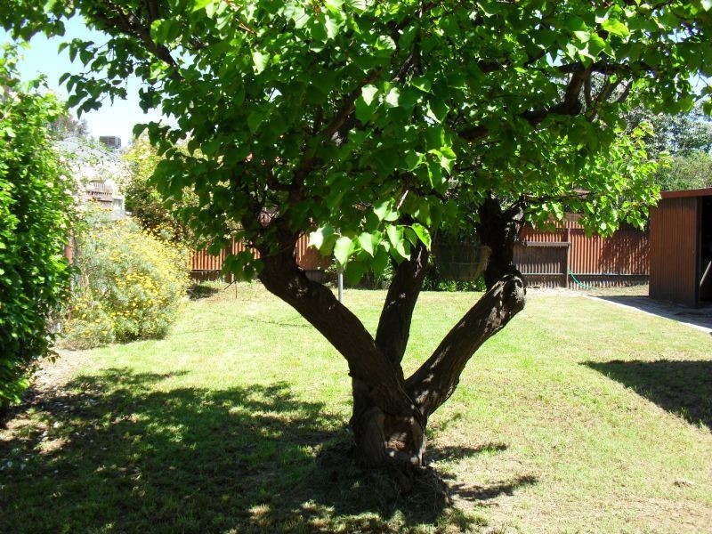 1/57 Tom St, Yarrawonga VIC 3730