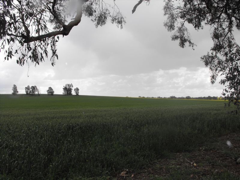 1488 Angle Rd, Benalla VIC 3672