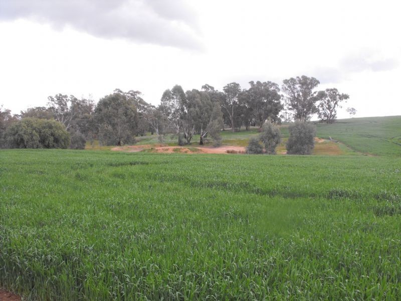 1488 Angle Rd, Benalla VIC 3672