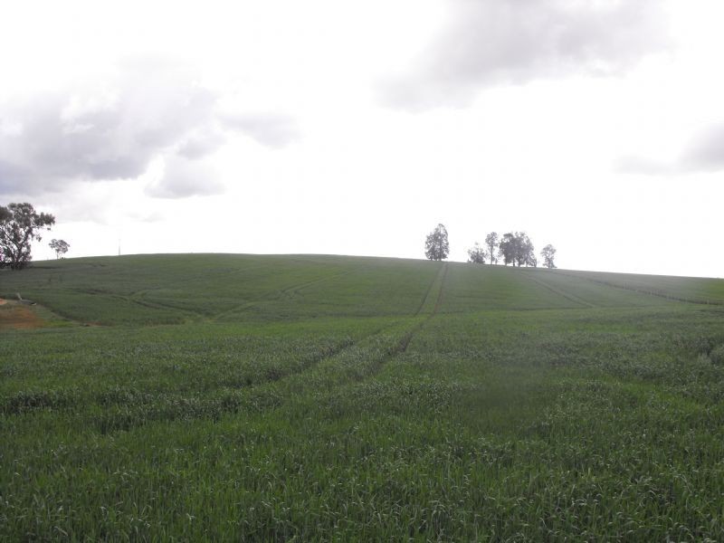 1488 Angle Rd, Wilby VIC 3728