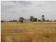 V/L- 25 Swanson Street, Wilby VIC 3728