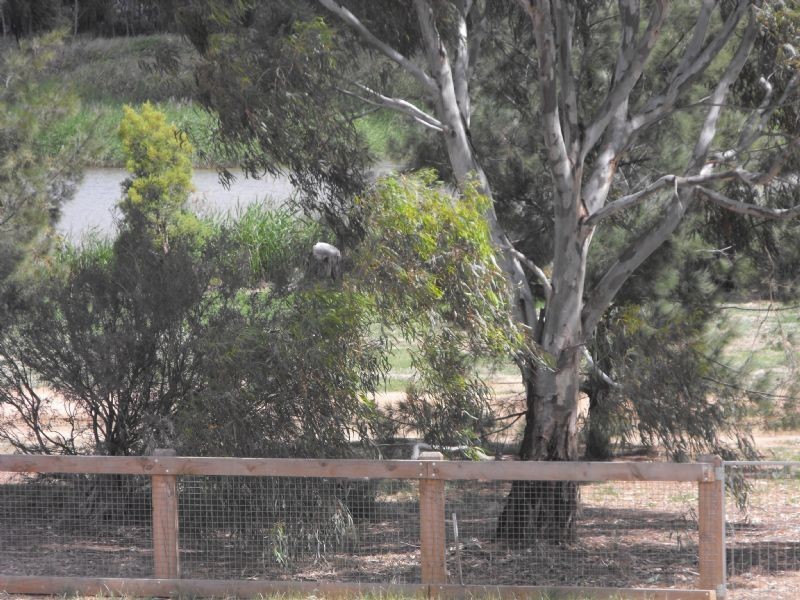 3/53 Anchorage Way, Yarrawonga VIC 3730