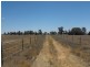 667 MURRAY Valley Hwy, Yarrawonga VIC 3730