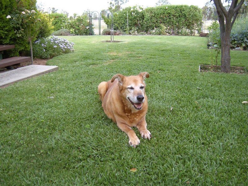 320 Sun Country Residential Village, Mulwala NSW 2647