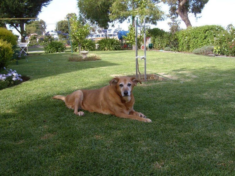 320 Sun Country Residential Village, Mulwala NSW 2647