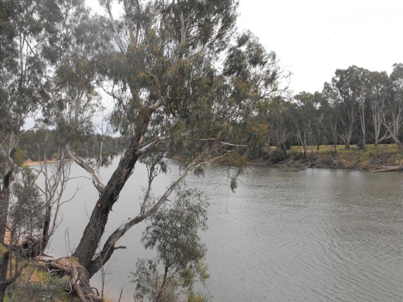 Site-44 Yarrawonga Holiday Caravan Park, Yarrawonga VIC 3730
