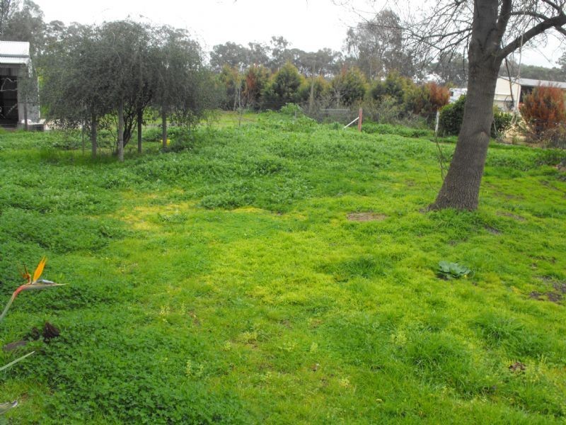 AUCTION 1460 Murray Valley Hwy, Bundalong VIC 3730