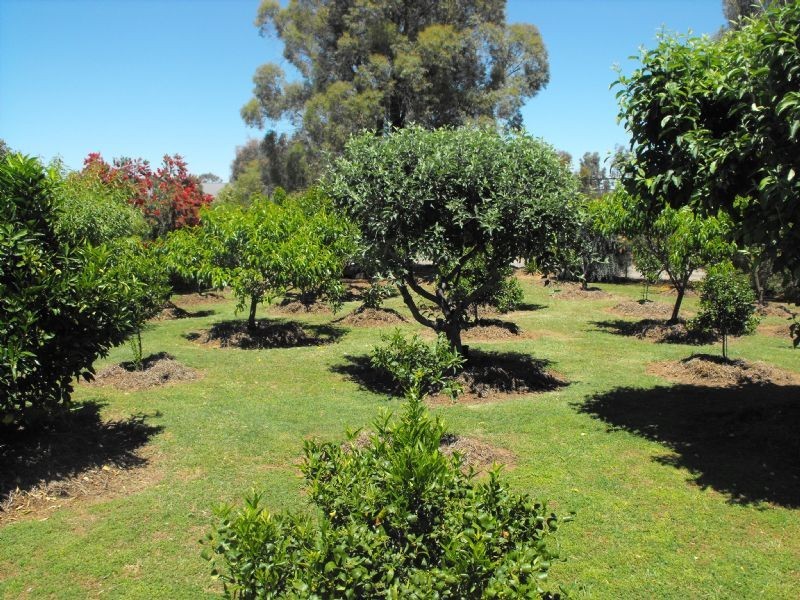 18 Charles Street, Yarrawonga VIC 3730