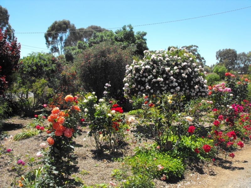 18 Charles Street, Yarrawonga VIC 3730