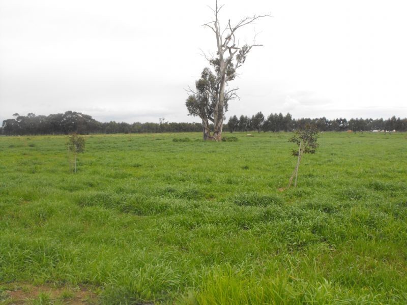 RIVERLAND GARDENS TOCUMWAL ROAD, Mulwala NSW 2647