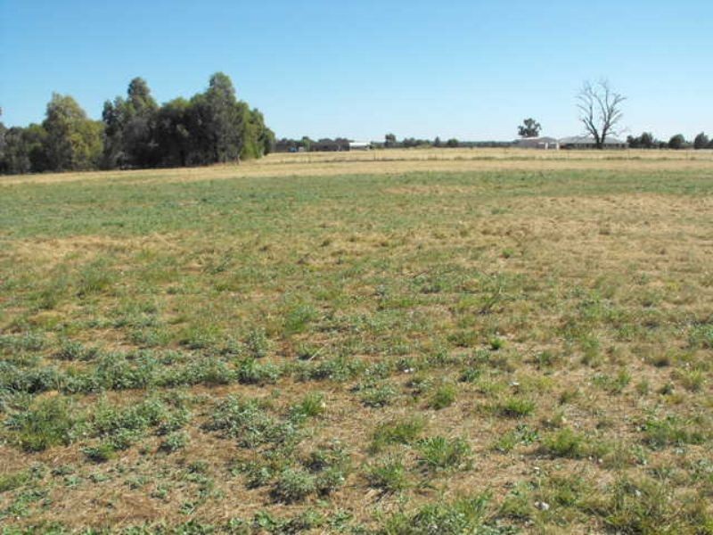 179 Reillys Road, Yarrawonga VIC 3730