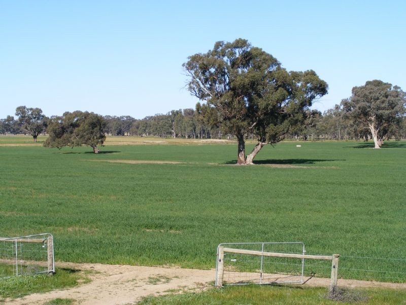 Lifestyle -275 River Road, Benalla VIC 3672