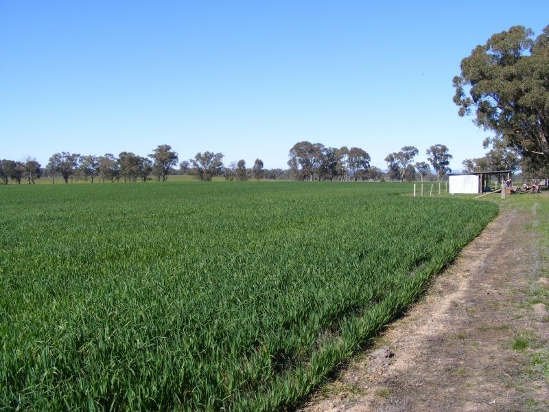 Lifestyle -275 River Road, Benalla VIC 3672