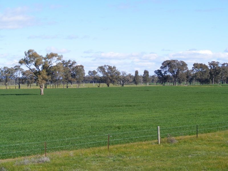 Lifestyle -275 River Road, Benalla VIC 3672